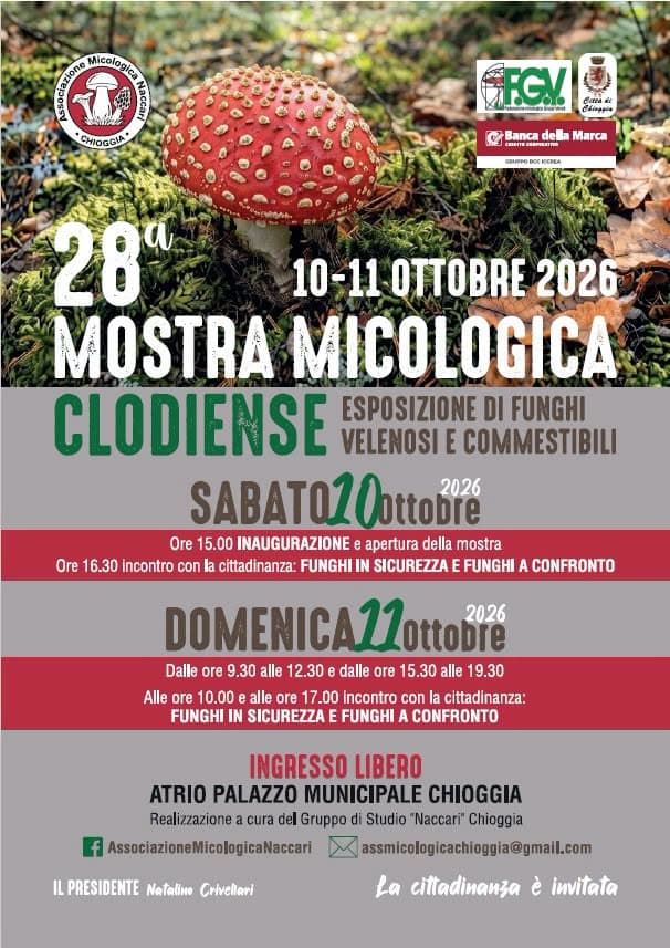 Mostra Micologica Clodiense 2026 Chioggia (VE)
