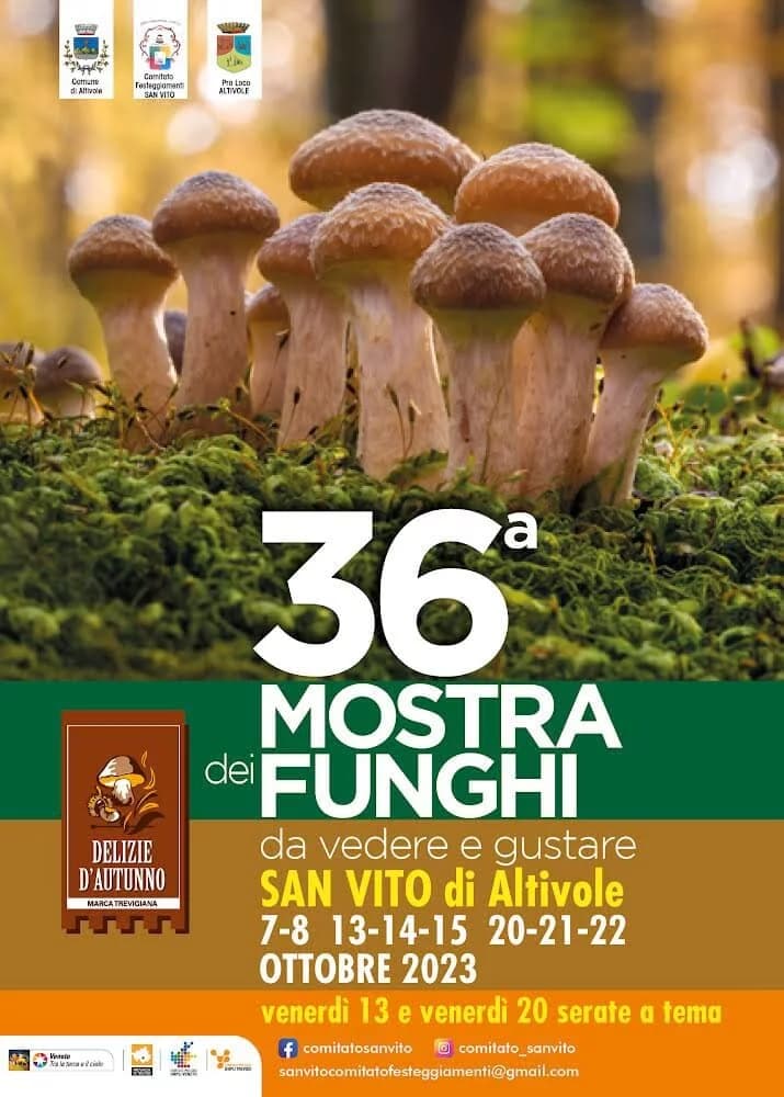 Sagra Micologica di San Vito di Altivole