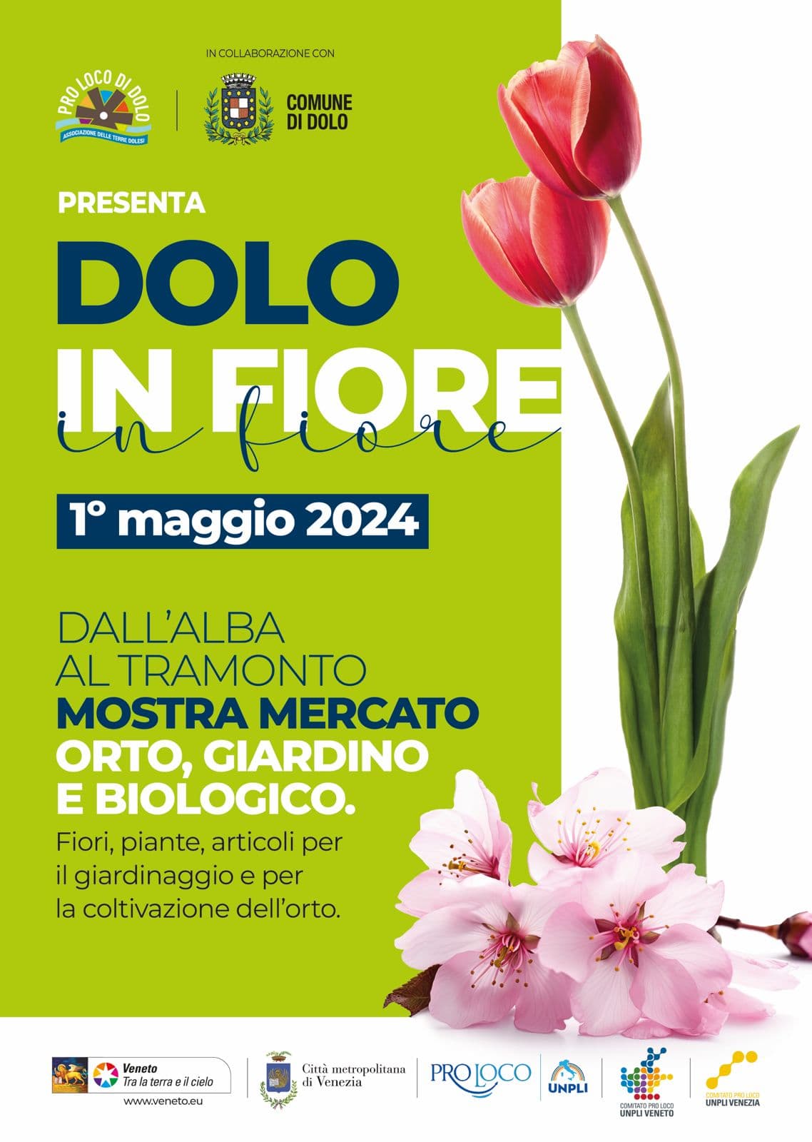 Locandina Dolo in Fiore