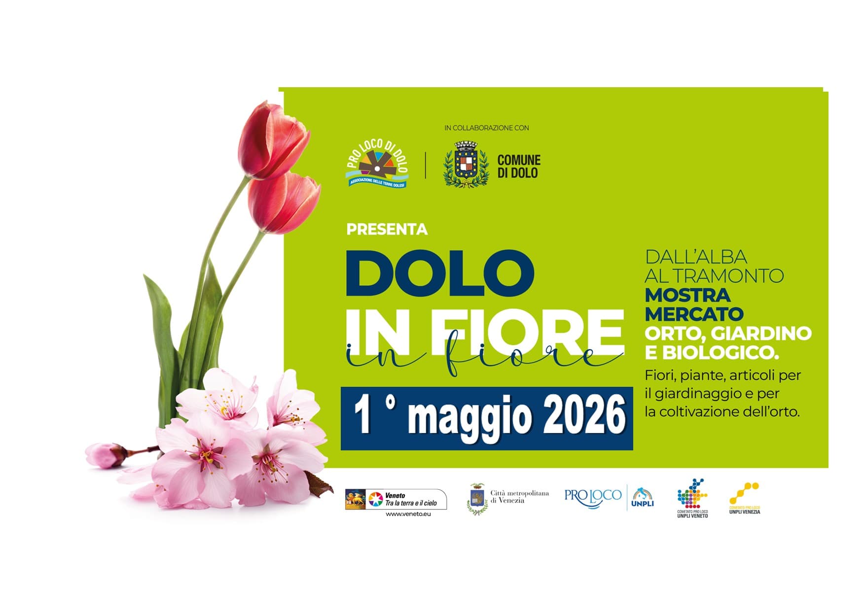dolo in fiore 2026