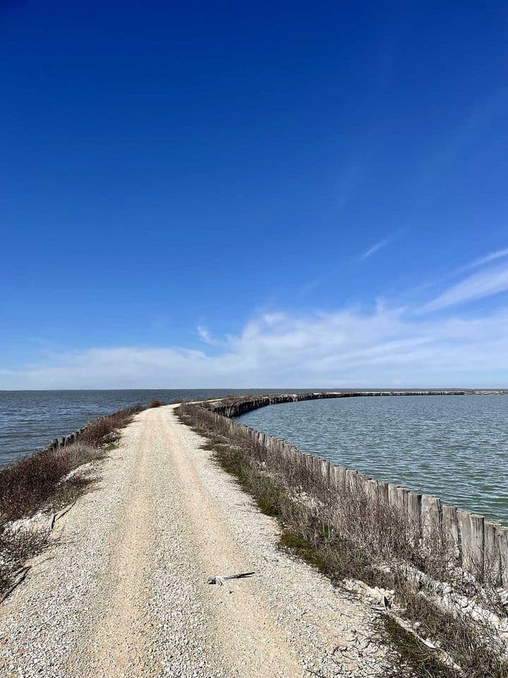 Bike Adriatica "Le Valli di Comacchio"