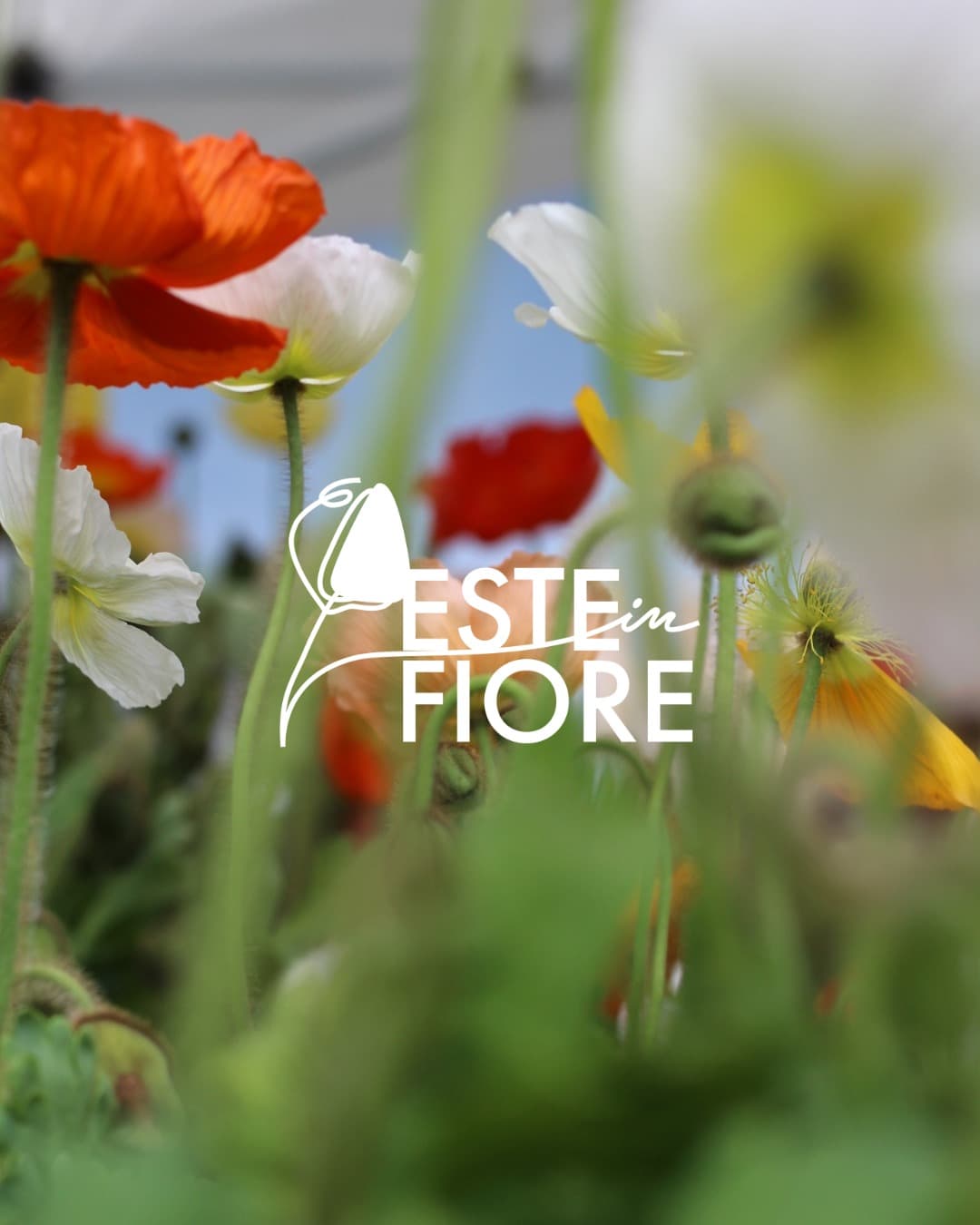 este in fiore 2025