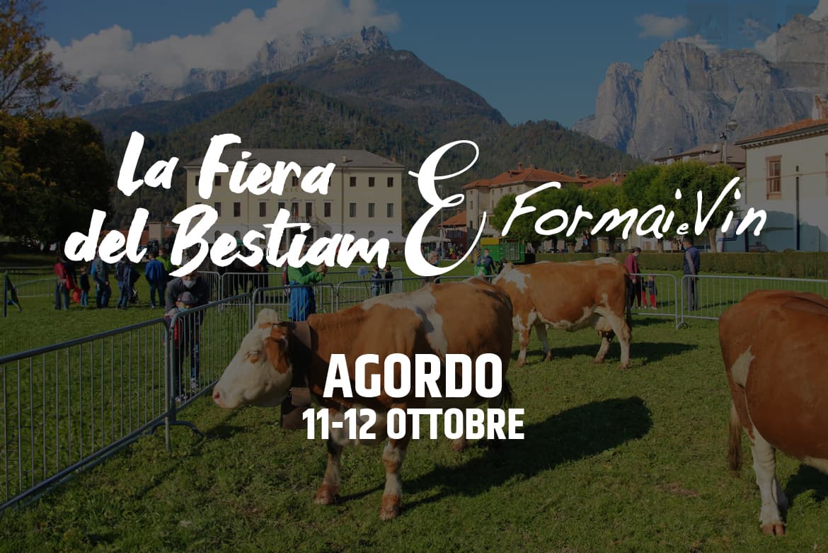 formai e vin agordo ottobre 2024