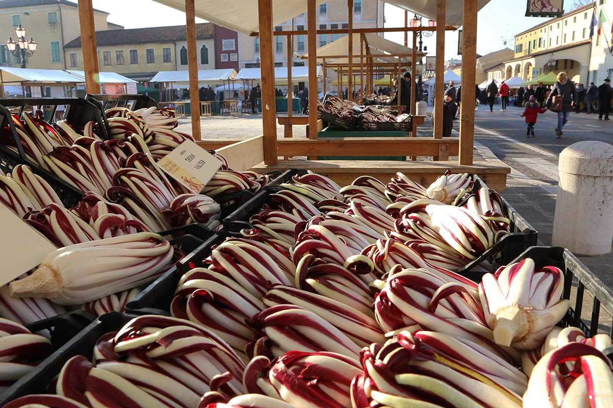fiera radicchio mirano 2025