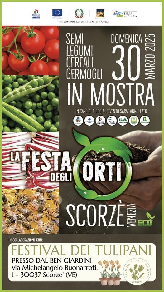 festival orti 2025