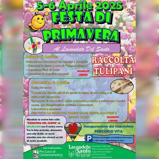 festa primavera camposampiero 2025