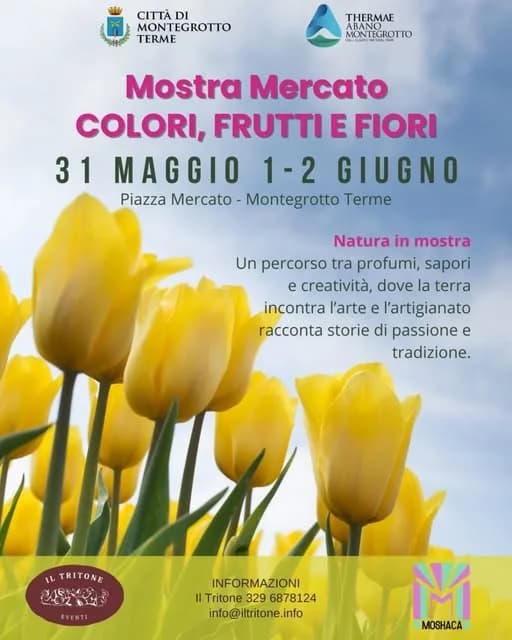 colori frutti fiori montegrotto 2025